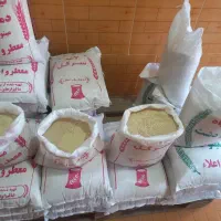 برنج دمسیاه مینودشت