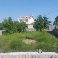 239-متر-زمین-دو-کله-بافت-زرد-و-سند-تک-برگ