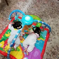 اساس بچه|اسباب و اثاث بچه|شیراز, فرهنگ شهر|دیوار