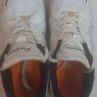 کتونی اسیکس