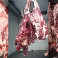 قصاب گوشت و مرغ، وسط کار