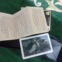 ( پاسور KEM اورجینال )(کارت بازی آلمانی)|اسباب‌بازی بچه|تهران, افسریه|دیوار