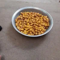 انجیر خشک امسالی