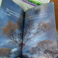 کتاب جیبی ۲۰ عدد|کتاب و مجله آموزشی|تهران, سهروردی|دیوار