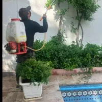 سمپاشی باغبانی  سم پاش هرس کاری
