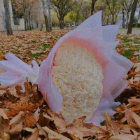 دسته گل و باکس گل