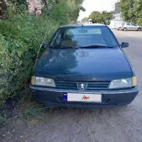 پژو اردی