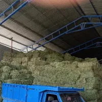 یونجه انباری پرس وکوفته