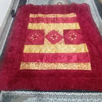 پتوروتختی