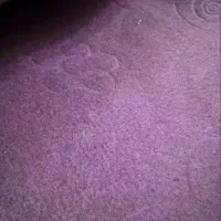 40متر موکت سالم و تمیز