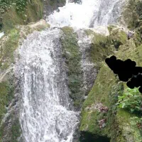 ورزش و سلامتی