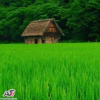 تور استان فارس