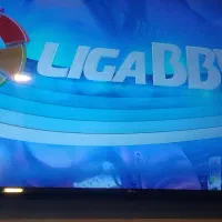 تلویزیون ۵۵اینچ LG اصلی