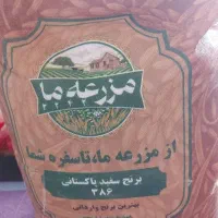 برنج پاکستانی مزرعه ما