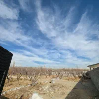 جامغازه-تهراندشت-سرخاب-قیمت-مناسب