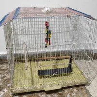 قفس پرنده با ارتفاع 47 سانت