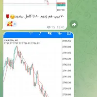 کانال سیگنال فارکس با ۳ روز تست رایگان|خدمات آموزشی|تهران, استاد معین|دیوار