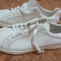 کفش ۲۱۰۰و جوراب ۲۵۰