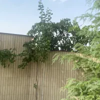 سرایداری
