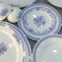 ارکوپال85