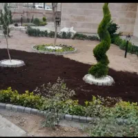 باغبانی گل کاری حرص سمپاشی|خدمات باغبانی و درختکاری|مشهد, هفده شهریور|دیوار