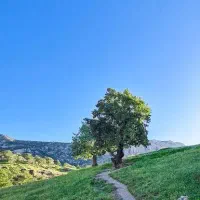 طبیعت گردی سبک تهران
