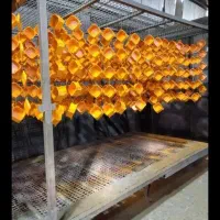 خدمات رنگ کوره و استاتیک