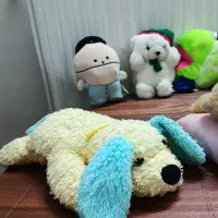 عروسک|اسباب‌بازی بچه|قم, پردیسان|دیوار