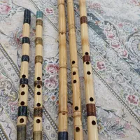 نی کاملا سالم وکوک ۸۰۰ت