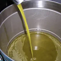 روغن زیتون اصل رودبار