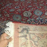 فرش|فرش|مشهد, رضاشهر|دیوار