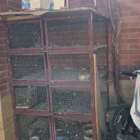 قفس ۴ طبقه یا جفتدونی ۸ تایی