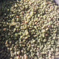 سبز سایه خشک|خوردنی و آشامیدنی|قره چای, |دیوار