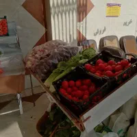 طبق میوه فروشی|فروشگاه و مغازه|قم, بنیاد|دیوار