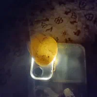سنگ قیمتی