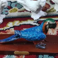 فیگور عقاب  و طاووس و طوطی