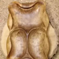 انواع روستیک دفورمه چوب گردو