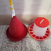 دانخوری و آبخوری پرنده