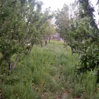زمین باغی دور دیوار روستای جهانکوب|فروش زمین و ملک کلنگی|مشهد, توس فردوسی|دیوار