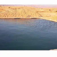 فروش زمین باغی روستای|فروش زمین و ملک کلنگی|دوگنبدان, |دیوار