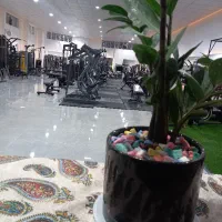 منشی باشگاه