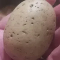 سنگ شهاب|کلکسیون و سرگرمی|اصفهان, بوستان ناژوان|دیوار