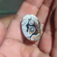 مهره زیرخاکی