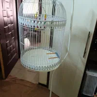 قفس پرنده