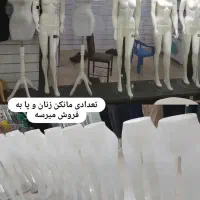 تعدادی مانکن ودکور کامل ام دی آف شامل هر شغلی