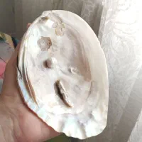 صدف مادر مروارید دار