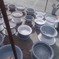 فروشندگی بازار روز