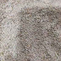 قدومه|خوردنی و آشامیدنی|شیراز, سعدیه جنوبی|دیوار