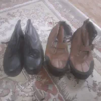 کفش کارنودوعدد