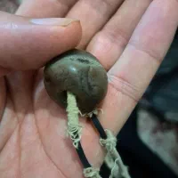 سنگ با ارزش